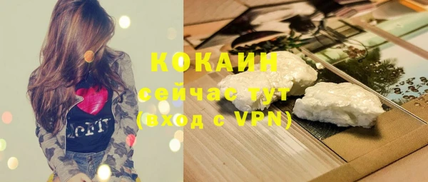 не бодяженный Алексин