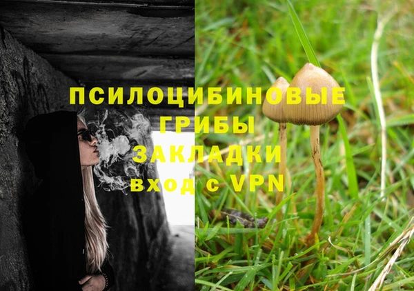 стафф Алексеевка