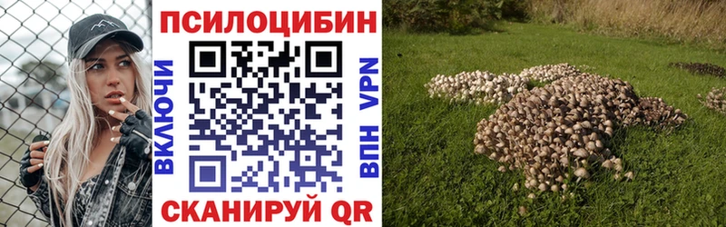 darknet какой сайт  купить наркотик  Архангельск  Галлюциногенные грибы MAGIC MUSHROOMS 