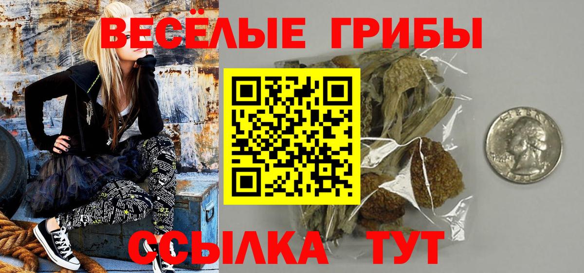 Галлюциногенные грибы прущие грибы Архангельск