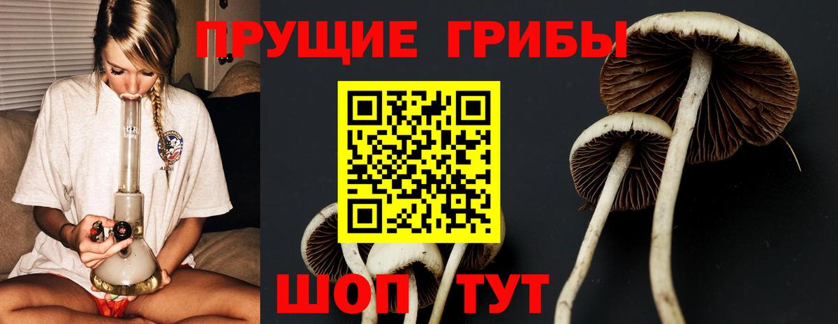 Галлюциногенные грибы MAGIC MUSHROOMS  закладка  Архангельск  Вход с VPN 